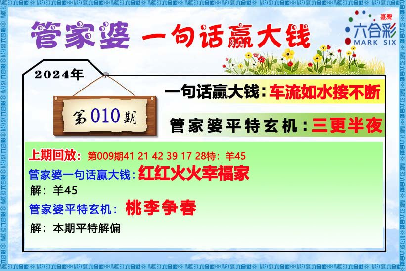管家婆一码中一肖2014,详细解答解释落实