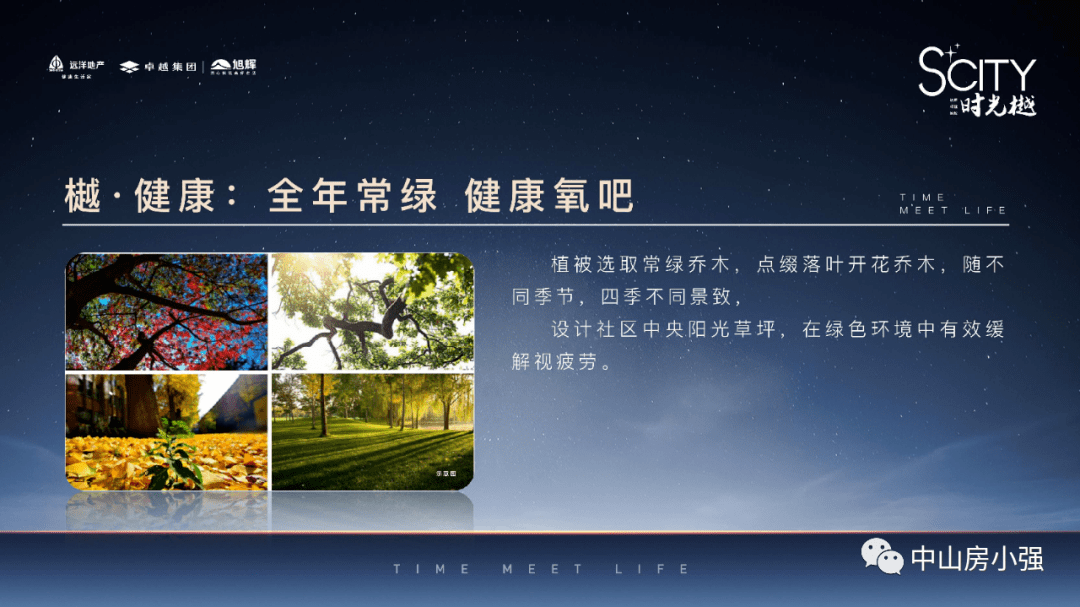 2025新澳门开码结果查询,全面释义解释落实