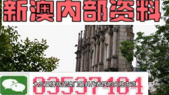 新澳门最准最快免费,精选解析解释落实