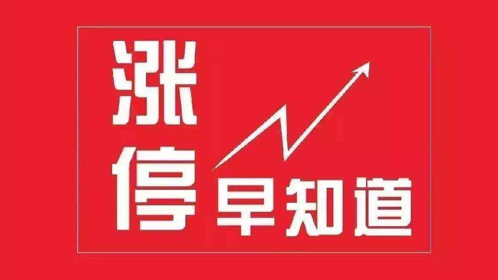 澳门王中王100%最新正品解,全面贯彻解释落实