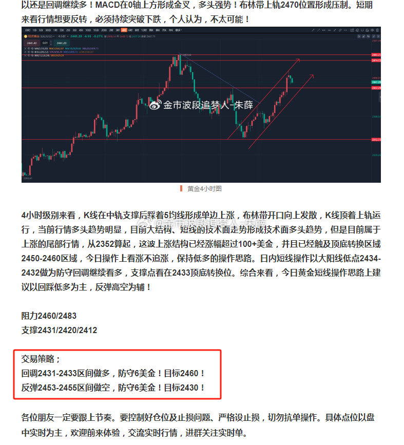 一码中持一一肖一子精选解析、落实与策略