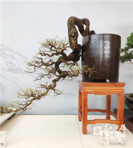 澳门一码一码100准确a07版,精准解答解释落实_xm481.89.18