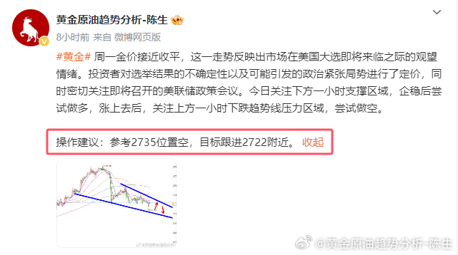 一码中持一一肖一子精选解析、落实与策略