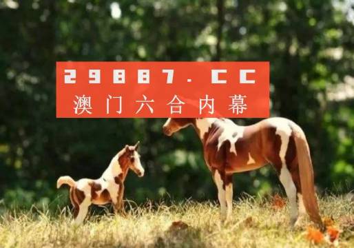 信息交流 第77页