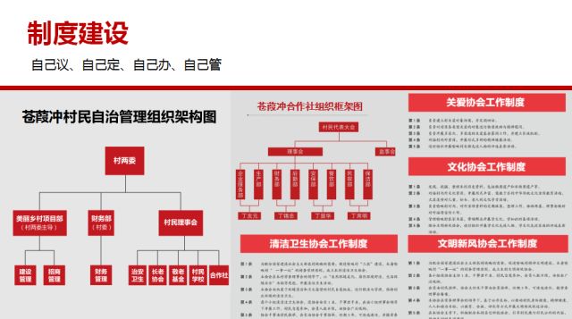 新奥最精准免费大全最新/精选解析解释落实