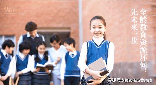 新澳门免费精准大全,精选解析、落实与策略