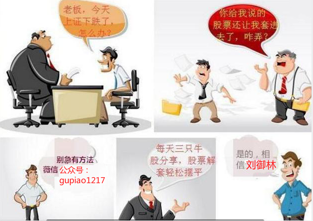 王中王493333中特马,精选解析、落实与策略