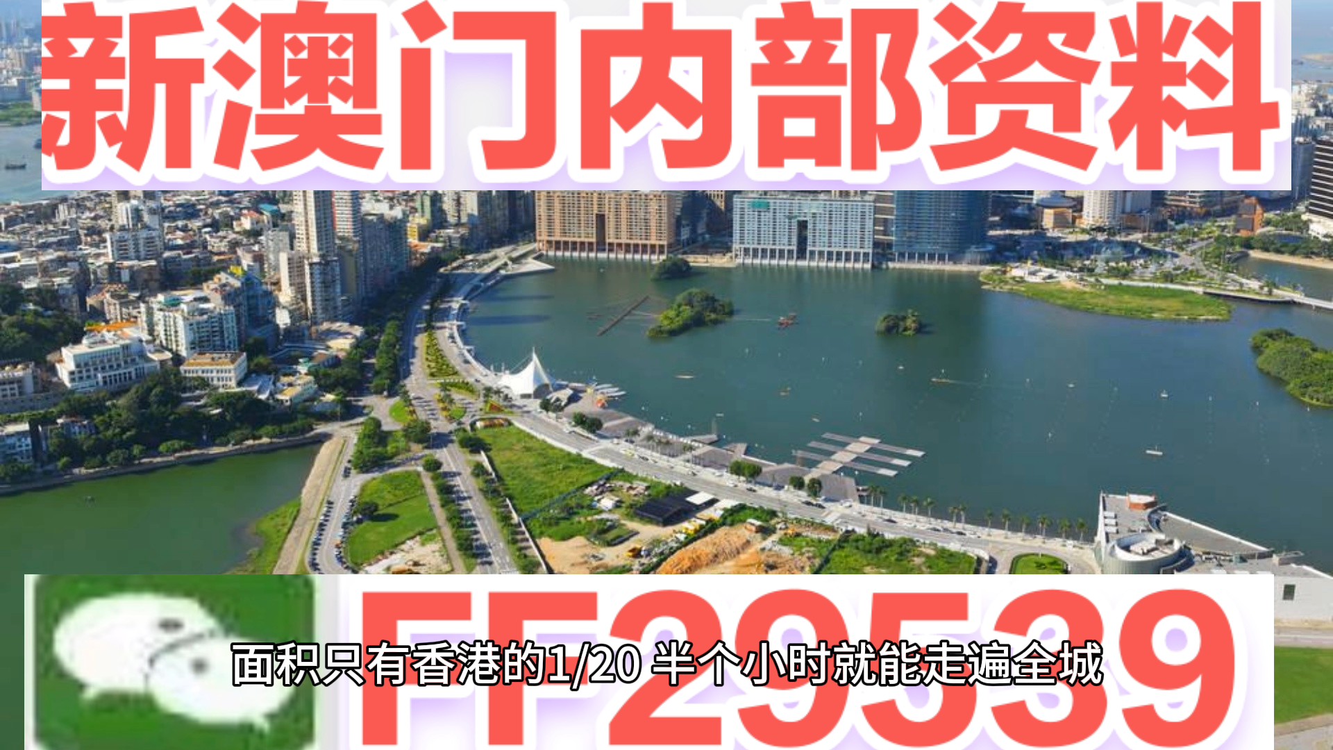 2025今晚澳门开什么码,精选解析、落实与策略