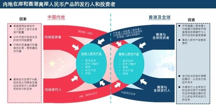 香港资料免费资料大全,精选解析、落实与策略