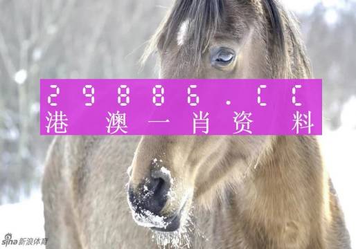 澳门一肖一码100%期期精准/98期,精选解析、落实与策略