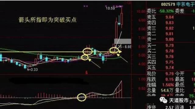 一码一肖,揭秘精准预测的秘密——100%精准之道