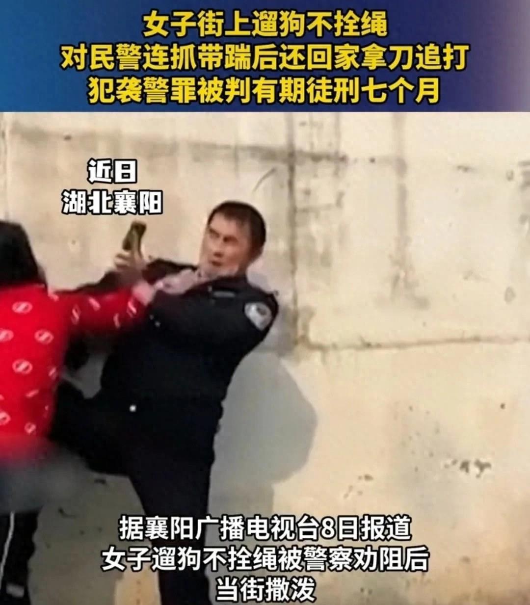 今晚四不像一肖图今晚四不像吧,构建解答解释落实