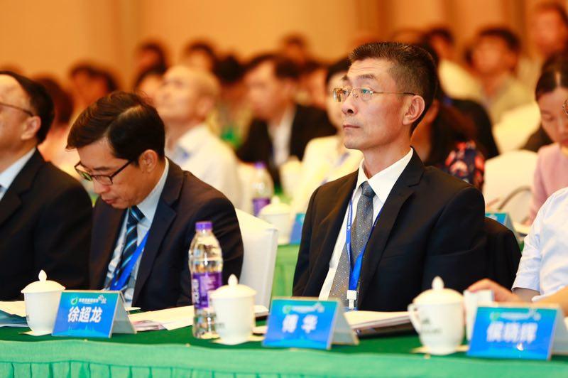 2025新澳门与香港精准正版免费,和平释义、解释与落实