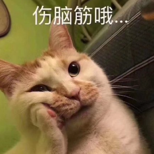 最新看点 第19页
