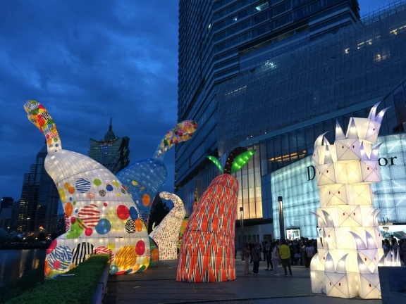2025今晚澳门开特马开什么, 探寻今晚澳门赛马的精彩赛事