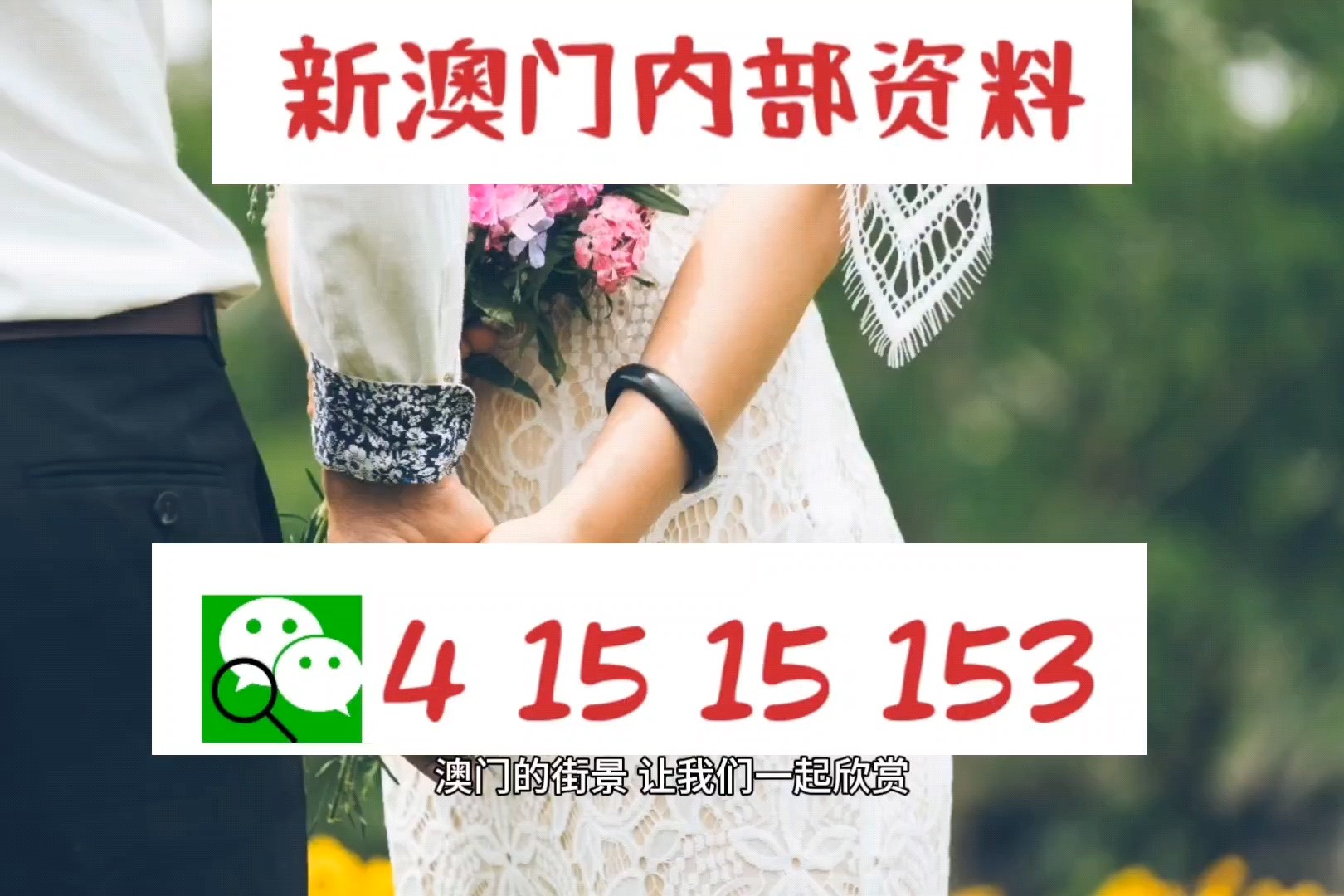 新澳精准资料免费提供网站——揭秘背后的秘密与真相(回忆版)